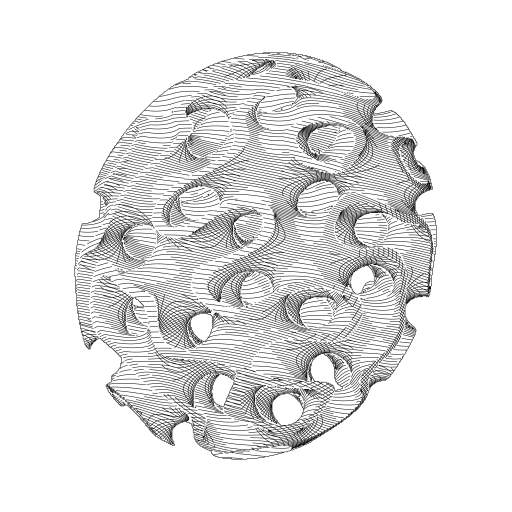 Xenolith