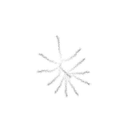 BarkBeetleGalleryGenerator