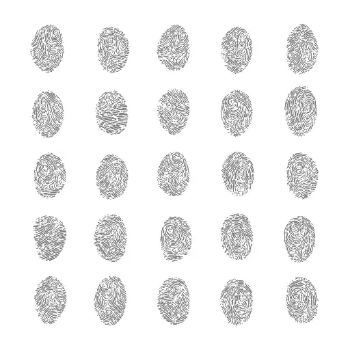Procedural fingerprints