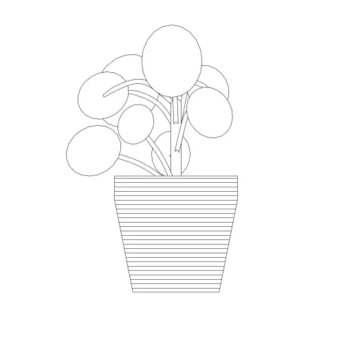 * Pilea Peperomioides
* Pannekoekenplant