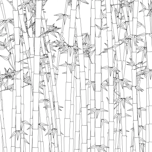 Bamboo tree forest